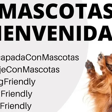 La Caseta De - Desconectar Rótova